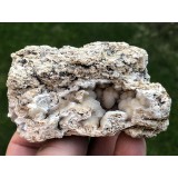 Chalcedon